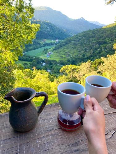 Refúgio das Araucárias in Unknown City, Brasil