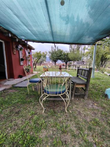 Fox Den in Unknown City, Argentina