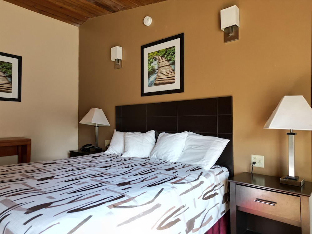 The Putney Inn - photo 9