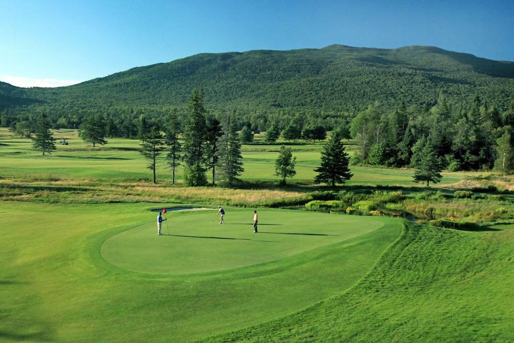 Omni Mount Washington Resort & Spa - photo 79