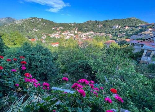Studio Apartman Ana — 4-Star Luxury Hotel in Lastovo, Croatia