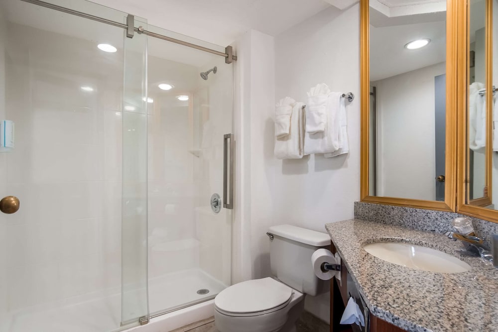 Clarion Inn & Suites Grand Rapids Airport - photo 42