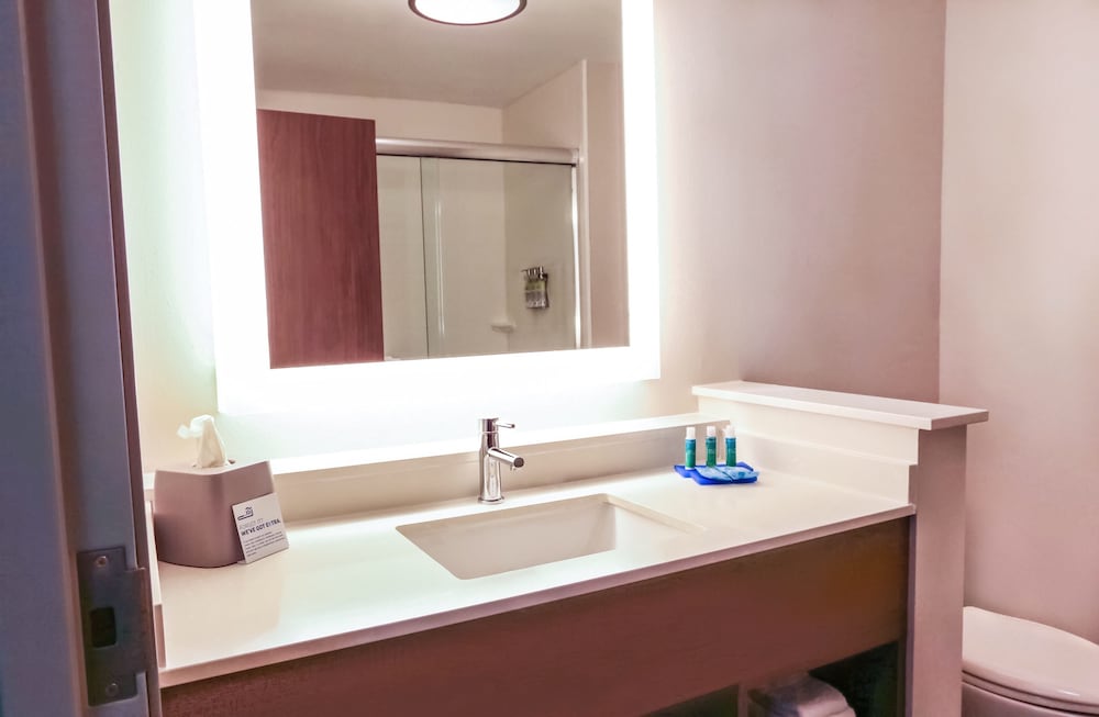 Holiday Inn Express & Suites Houston IAH Beltway 8 by IHG - photo 32