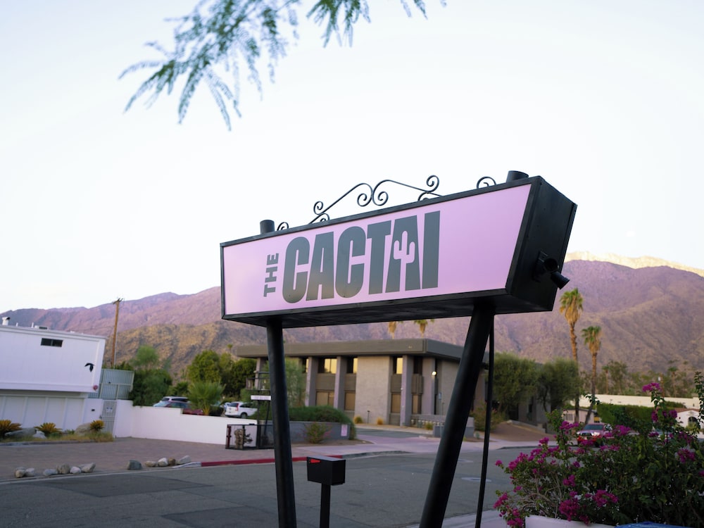 The Cactai - photo 61