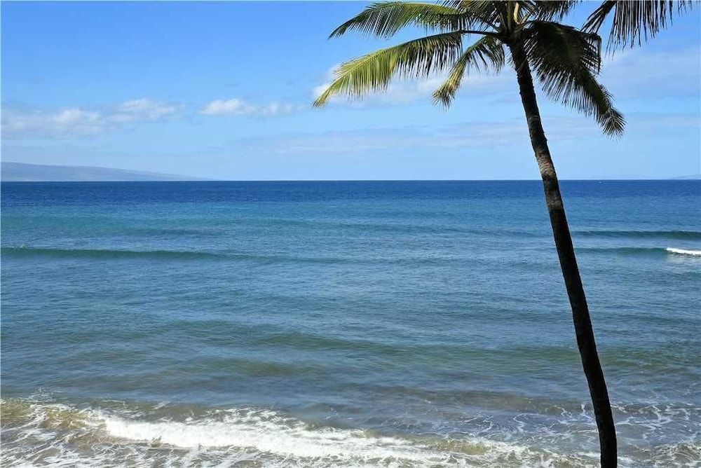 Mahana Resort #304 1 Br Condo - photo 8