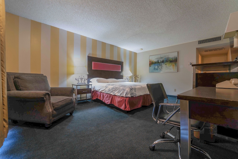 Royal Plaza Inn Indio - photo 19