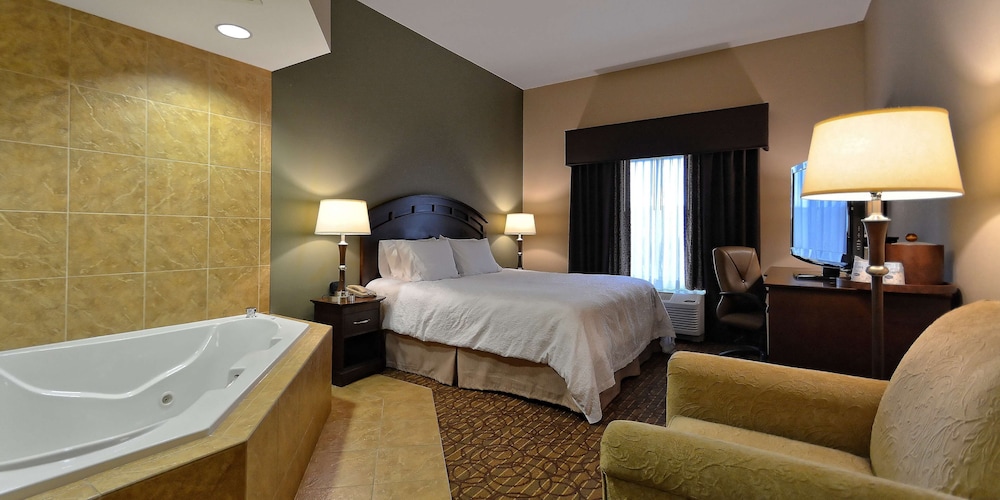 Hampton Inn Geneseo - photo 16