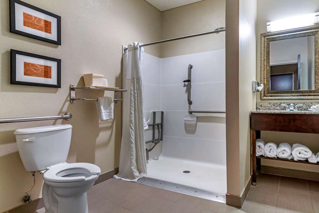 Comfort Suites Biloxi Ocean Springs - photo 18