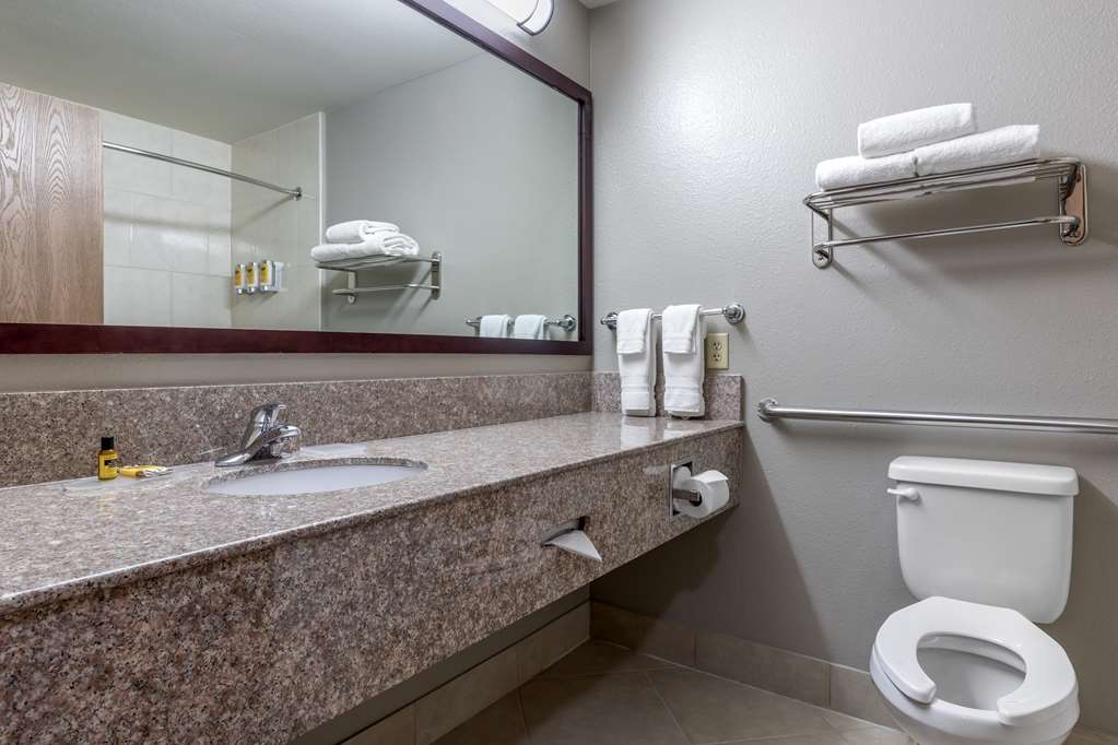 Best Western Plus Mansfield Inn & Suites - photo 46