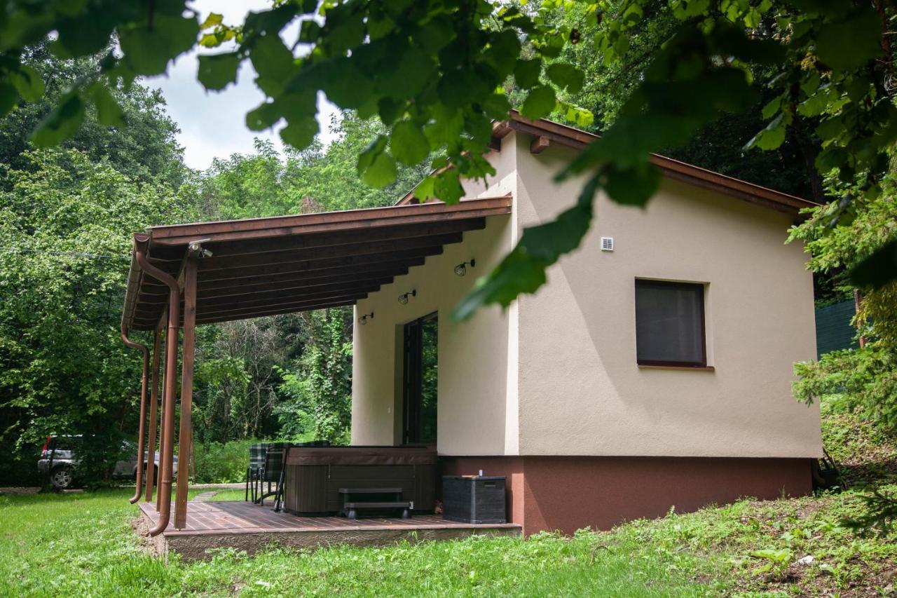 Vízfő Kabin - last minute hotel in Saly
