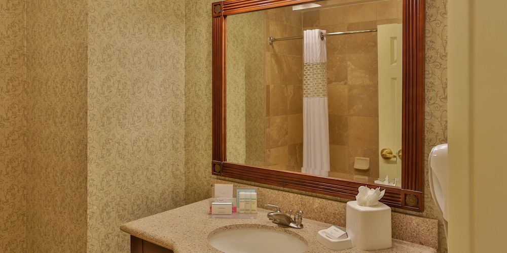 Hampton Inn and Suites Savannah Historic District - photo 39