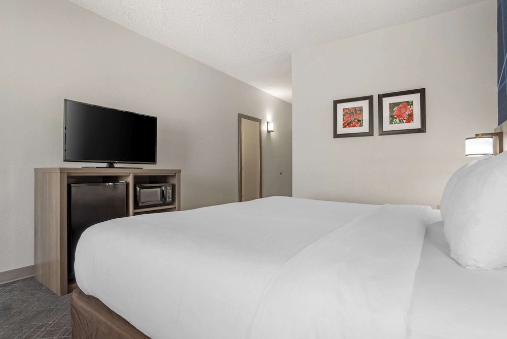 Comfort Inn Greenville I 65 - photo 5