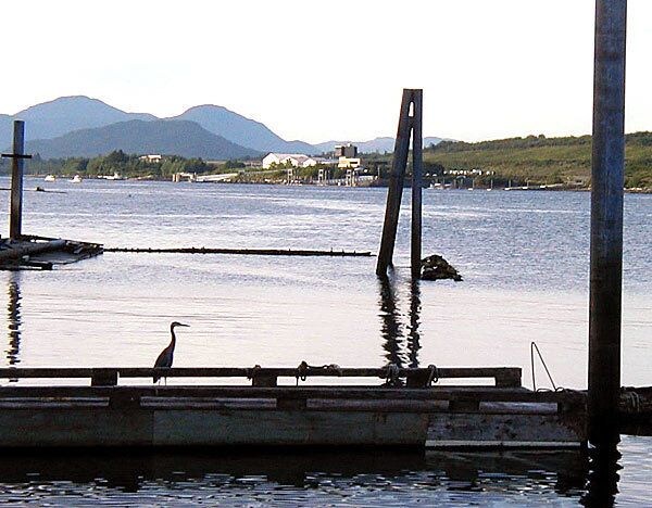 The Ketch Inn and Marina — hotel in Ketchikan