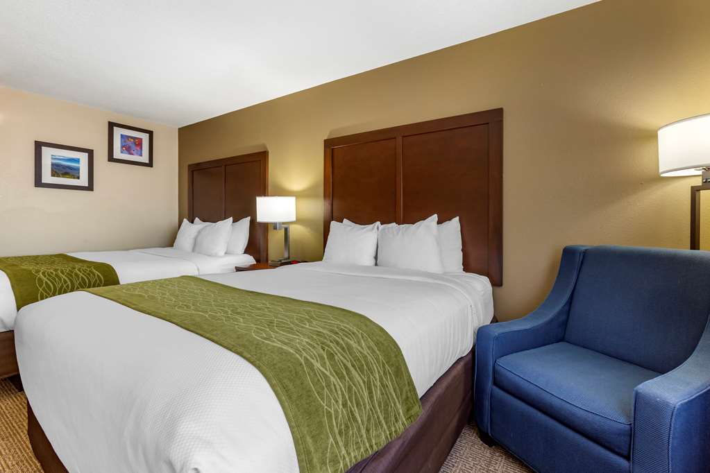 Comfort Inn & Suites Alameda at Albuquerque Balloon Fiesta Park - photo 17