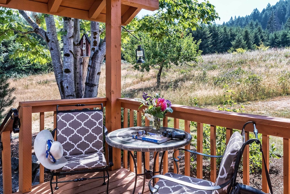 Carson Ridge Luxury Cabins - photo 24