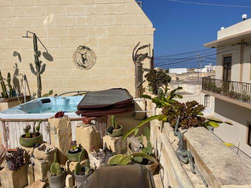 Art Stay Modique — Nadur — photo 2