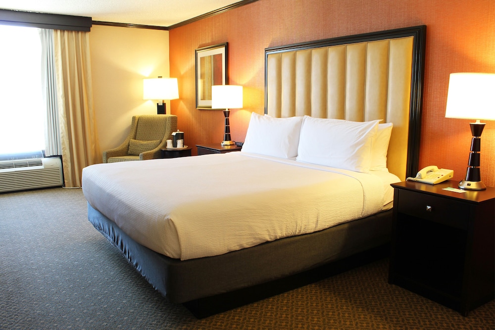 Hotel Burbank - photo 9