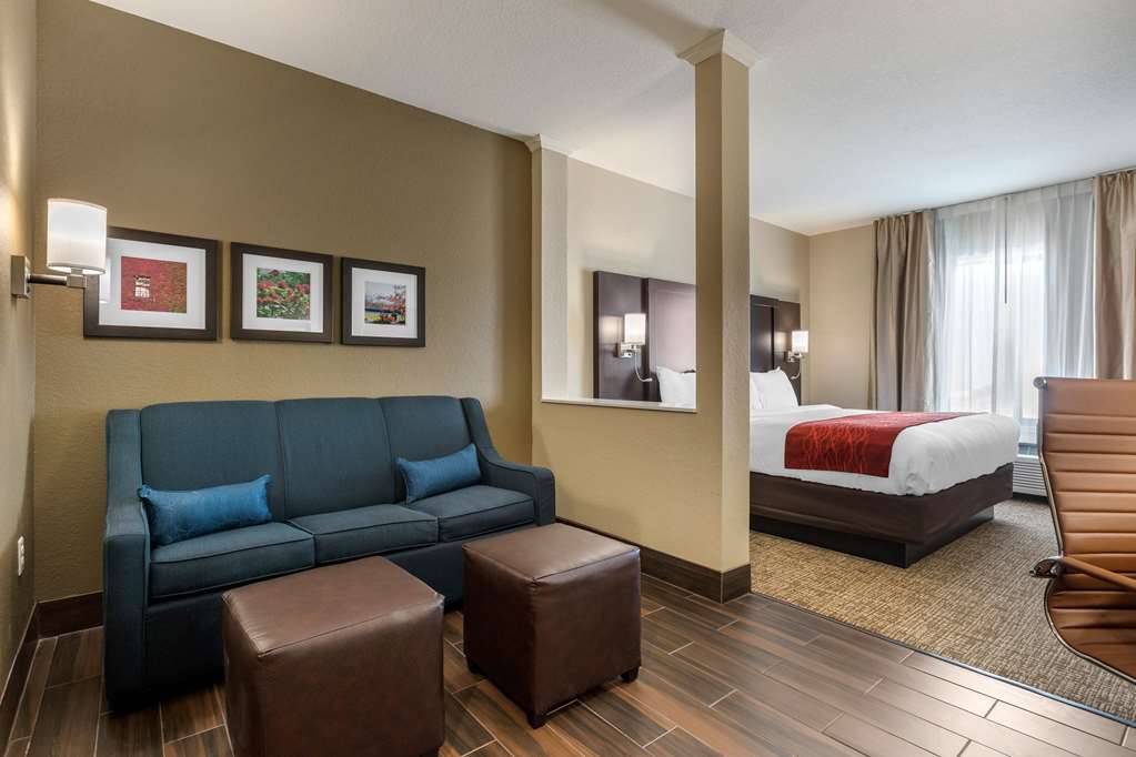 Comfort Inn & Suites Cedar Rapids CID Eastern Iowa Airport - photo 26