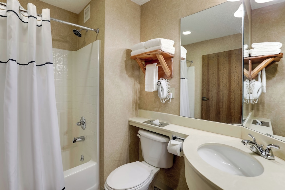 Stoney Creek Hotel St. Joseph - photo 27