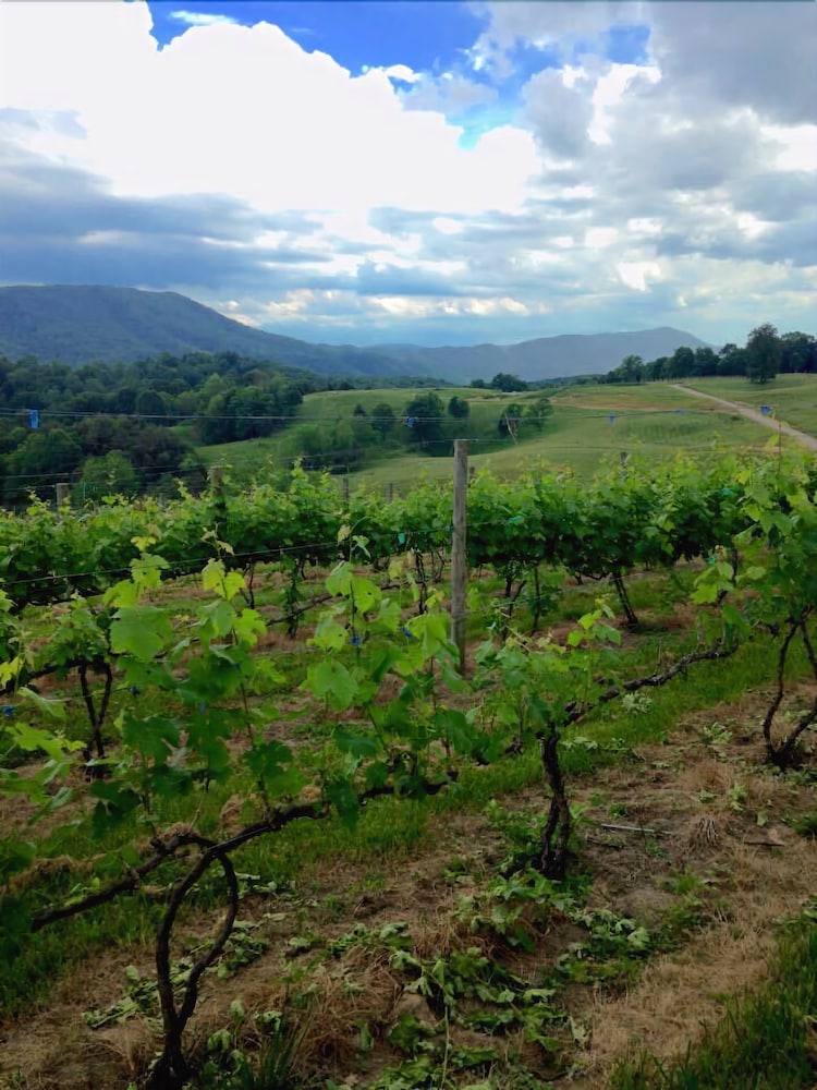 Beliveau Estate - photo 9