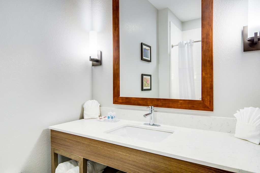 Comfort Suites DeSoto Dallas South - photo 31