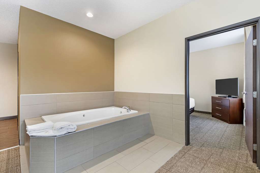 Comfort Suites Cedar Falls Industrial Park - photo 16