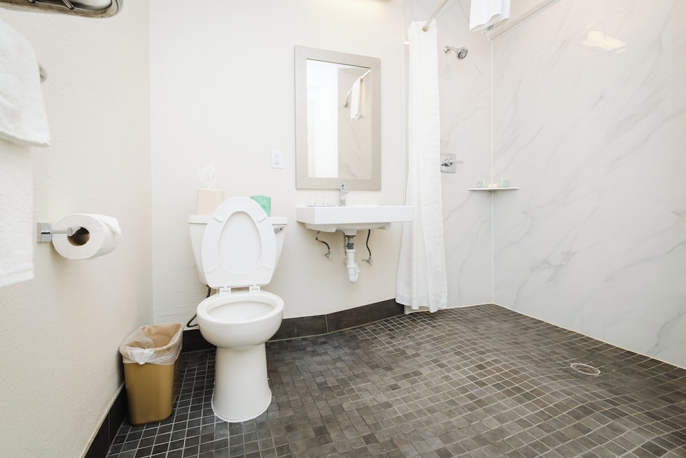 Quality Suites Houston Hobby Airport - photo 19