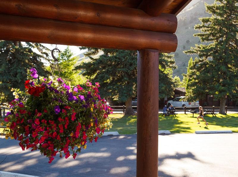 Elk Country Inn - photo 12