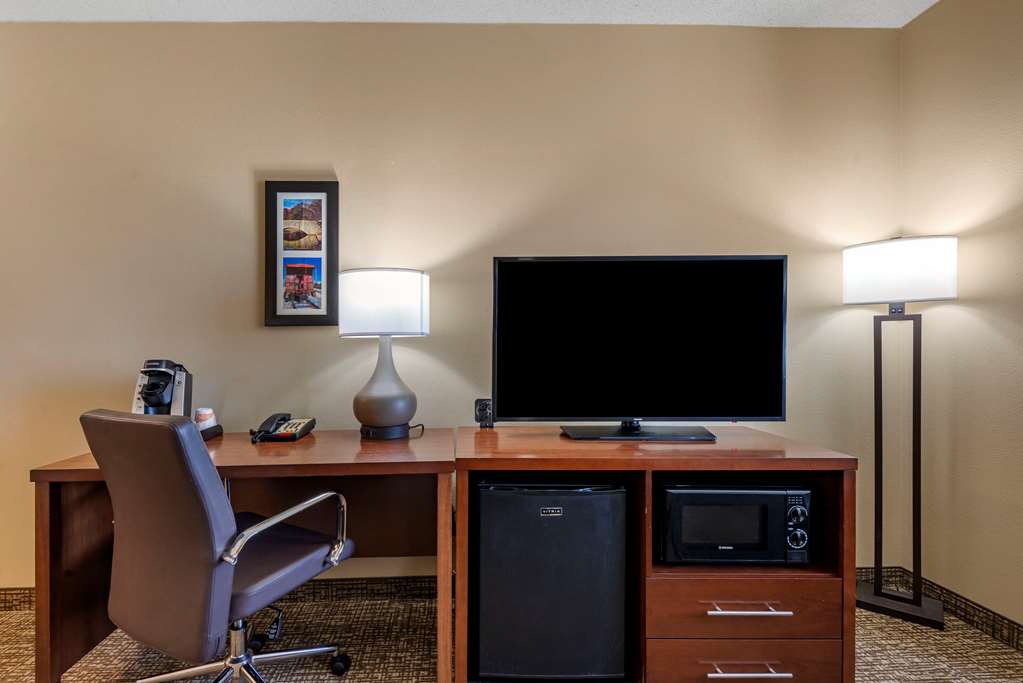 Comfort Suites Huntersville near Lake Norman - photo 33