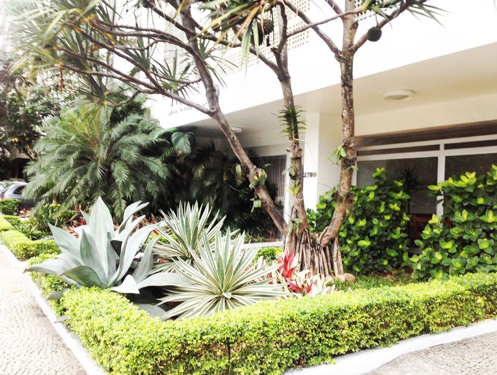 Best View Lagoa — hotel in Lagoa
