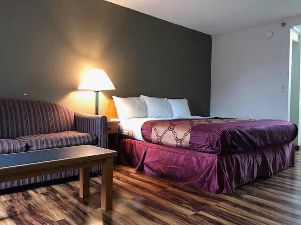 Bear Mount Inn & Suites - photo 17