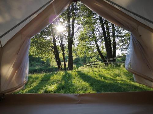Glamping Kaliska — Unknown City — photo 5