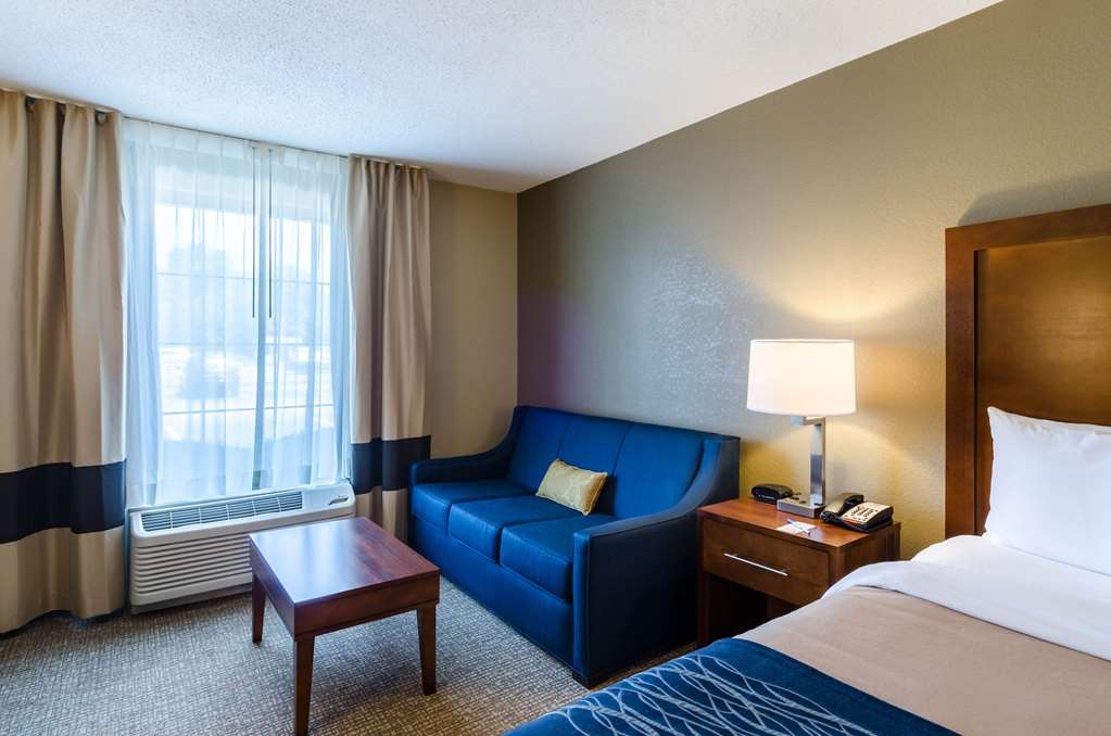 Comfort Inn Randolph Boston - photo 13