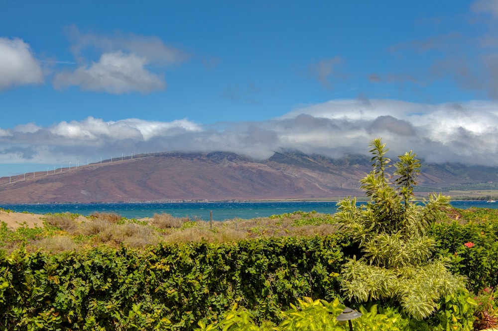 Kohea Kai Maui - photo 40