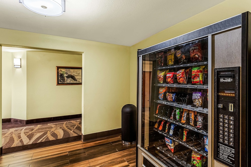 Best Western Rose Quartz Inn - photo 24