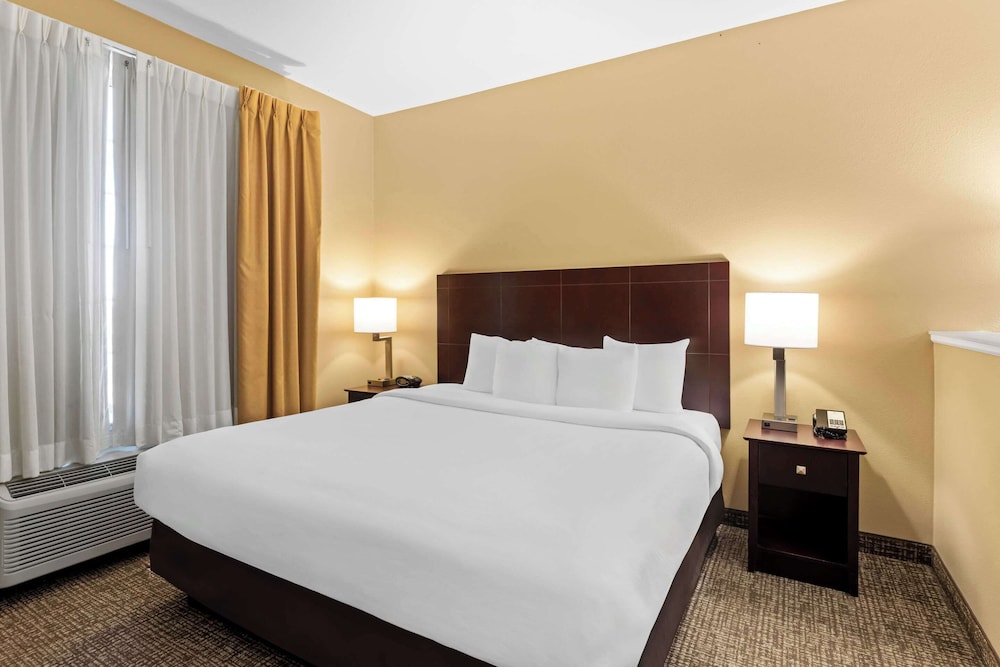 Comfort Suites Roanoke Fort Worth North - photo 11
