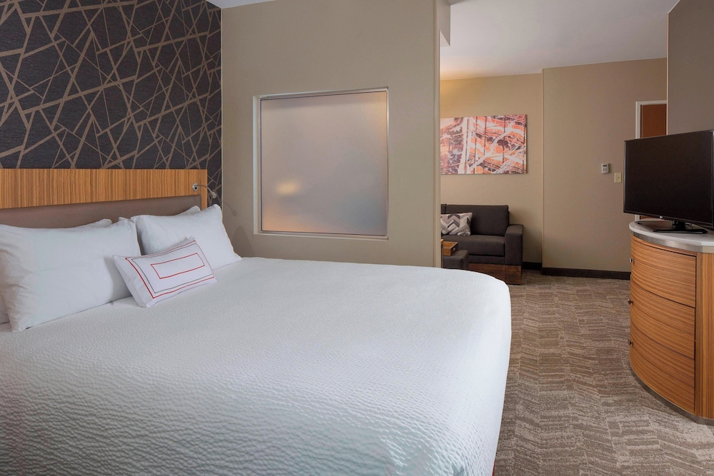 Springhill Suites St. Louis Airport Earth City - photo 5