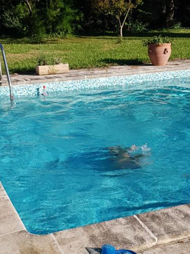 Mas dans propriete agricole — hotel in Saint-Martin-De-Crau