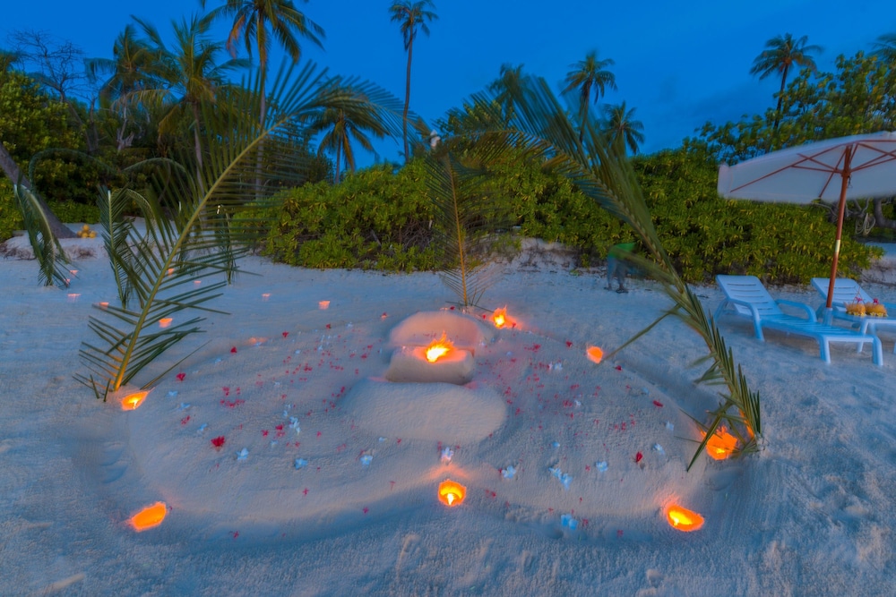 Outdoor wedding area