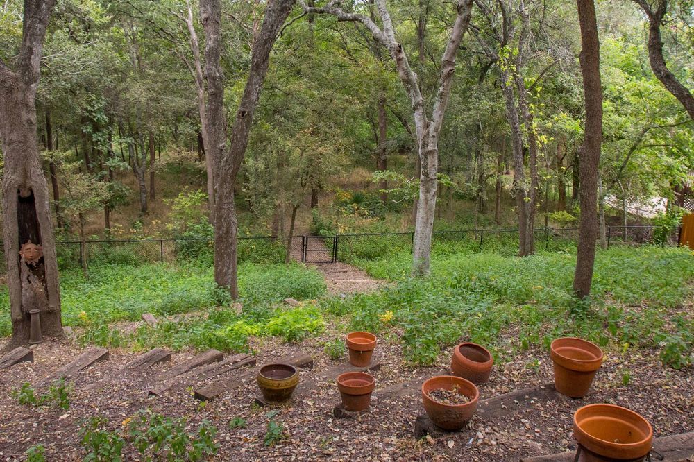 Austin Eco Retreat - photo 12