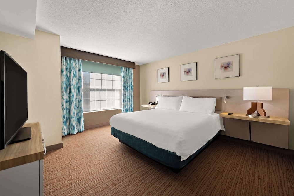 Hilton Garden Inn Williamsburg - photo 25