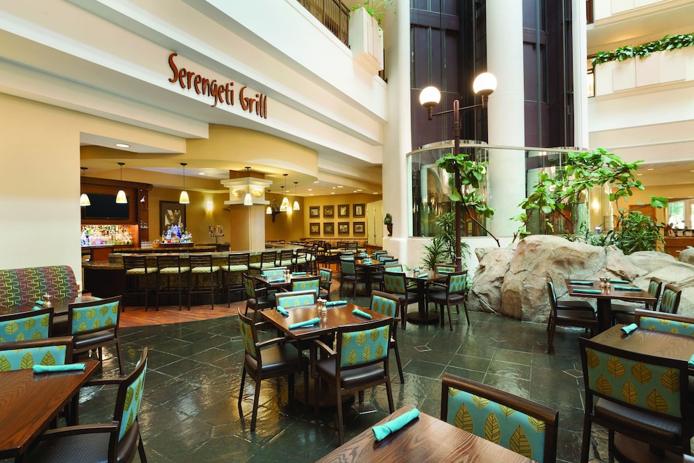 Embassy Suites by Hilton Anaheim South - photo 50