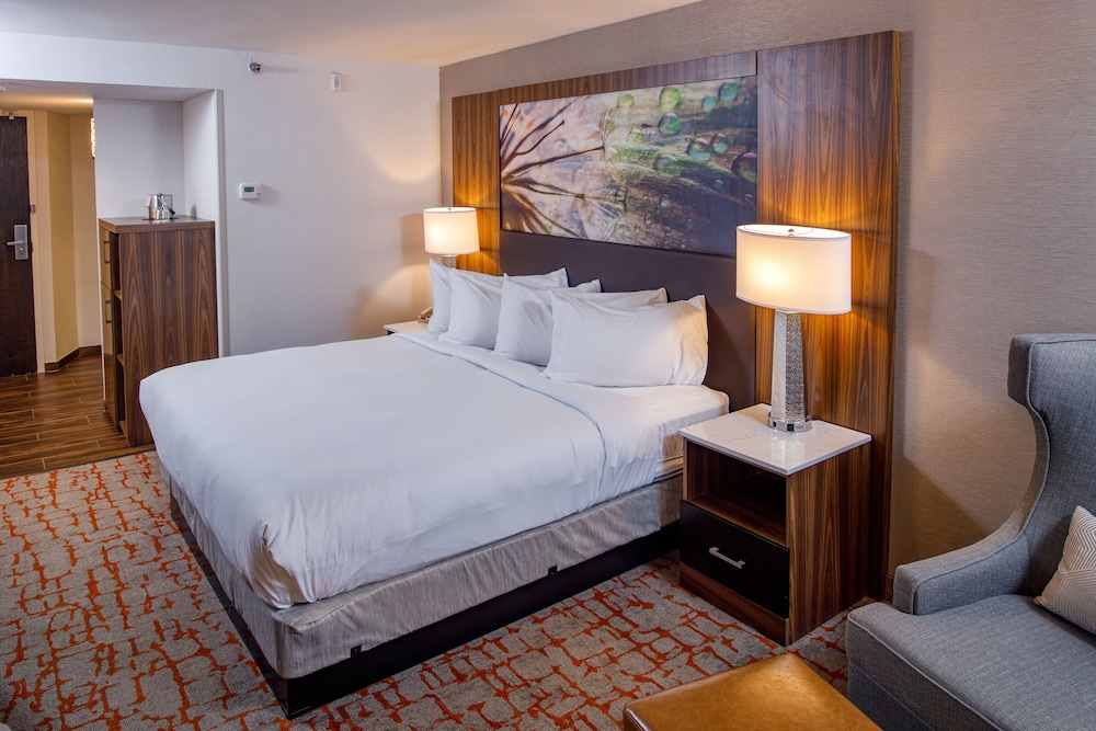DoubleTree by Hilton Appleton - photo 10