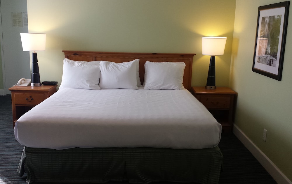 The University Inn at Emory - photo 3