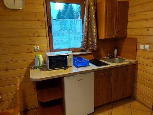 Domki w Istebnej in Istebna, Poland