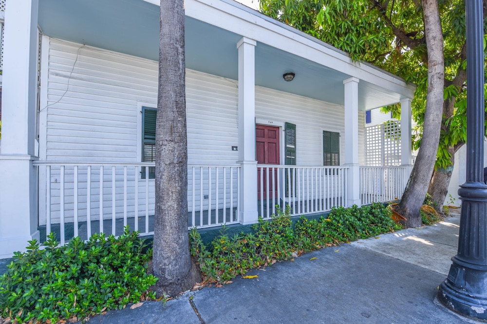 Southern Palms - photo 50