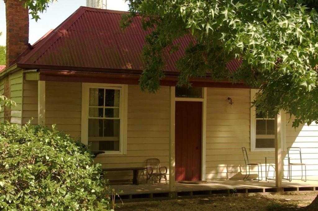 Alexandra Farmstay — Alexandra — photo 5