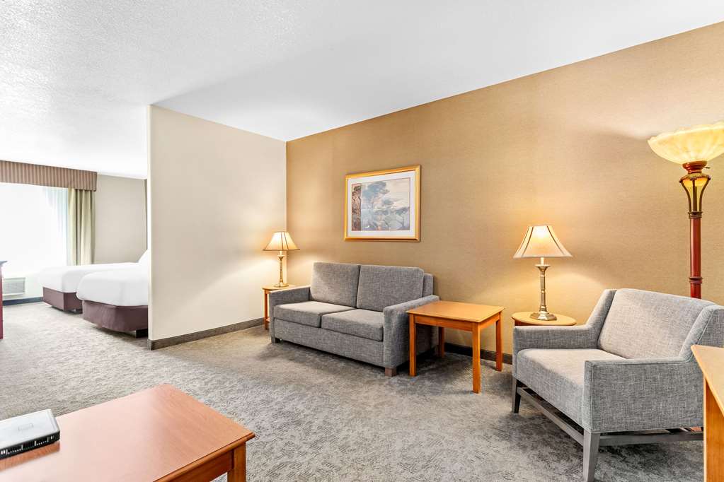 Comfort Inn & Suites I 25 near Spaceport America - photo 30