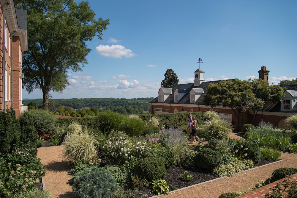 Albemarle Estate at Trump Winery - photo 136
