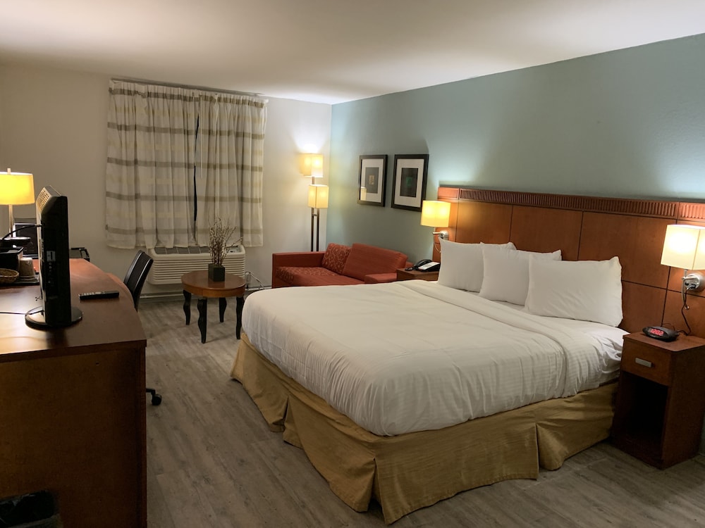 The Hotel Orange - photo 6